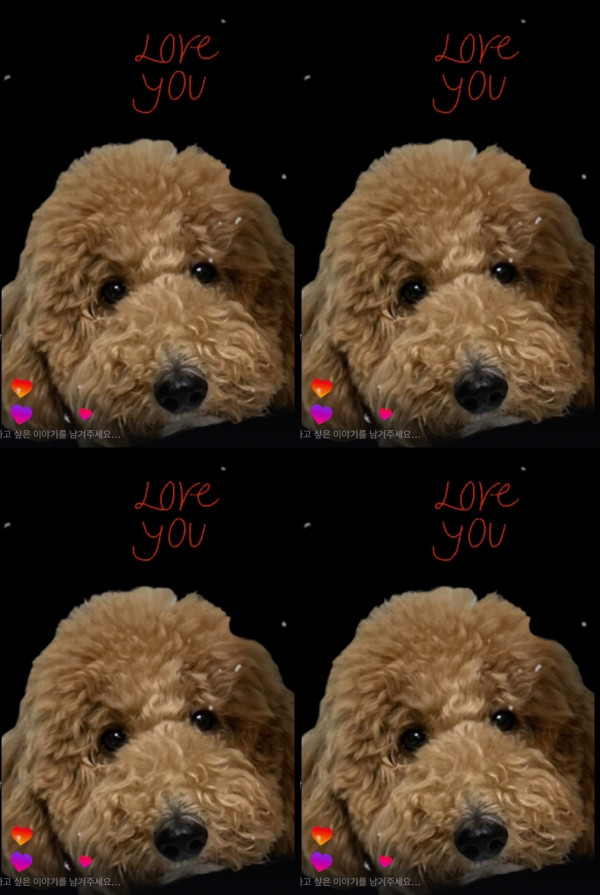c657d2bfa3d7fbf01fd7e9635bd7d63d_1737951646_1984.jpeg