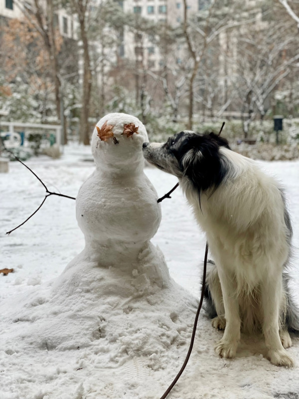 5b3cd3fffe767c31809feb93c555593e_1739351284_9231.jpeg