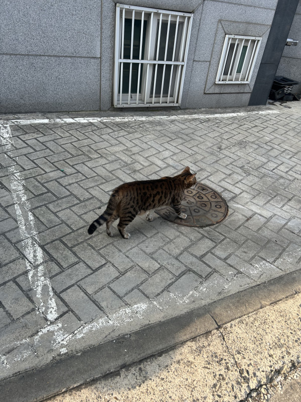 4e9f13854ae1b1915e49c15f8b633cc2_1742516428_2841.jpeg