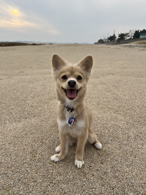 58fa5108630c6291a0d7b4561f70b81f_1742975256_6097.jpeg