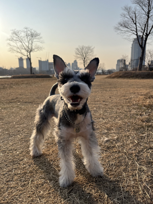 58fa5108630c6291a0d7b4561f70b81f_1742975294_1974.jpeg