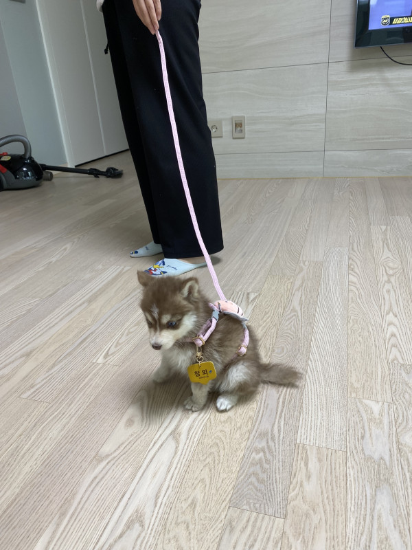 7b5b608c32d1160d40907026a47d8fda_1743122825_0328.jpeg