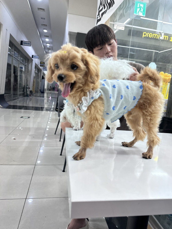 7d442582159a7519225b3eb2d3398fe2_1743251952_9631.jpeg