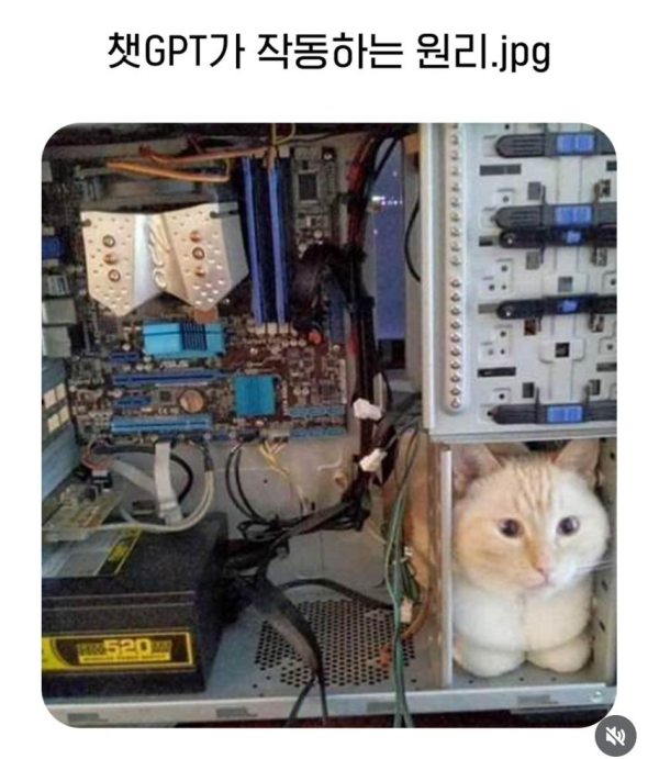 8048c0e155eda3487bcc9ffc9b1779dd_1743039807_9185.png