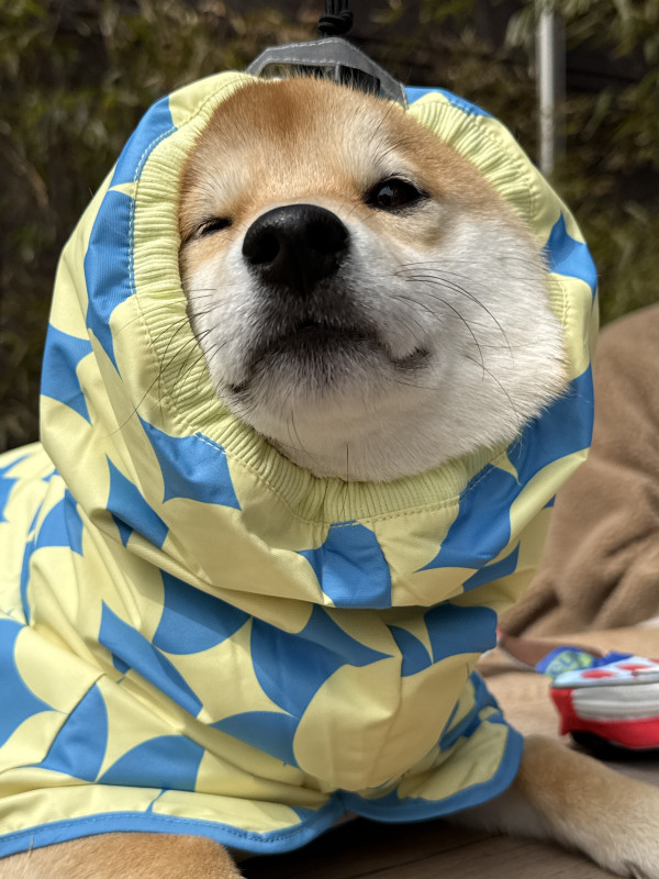 9784972e04ae7bb44f02711edc6dd90e_1743085895_9798.jpeg