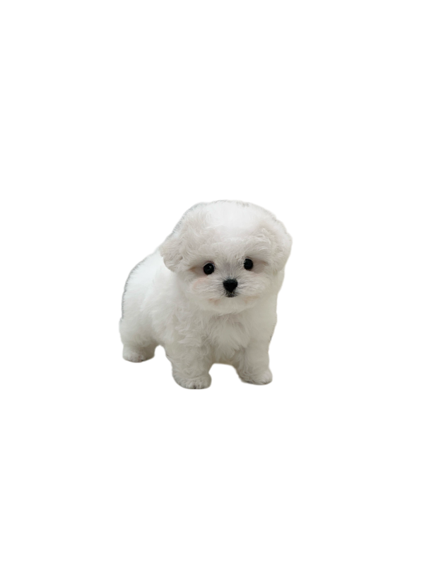 ca0da4c8be3caebaec0cb4a47c682a66_1743254559_0016.png