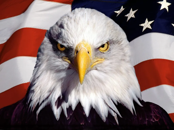 d2adf1227077f3a1cabd36de261a7f7c_1743157221_3208.png