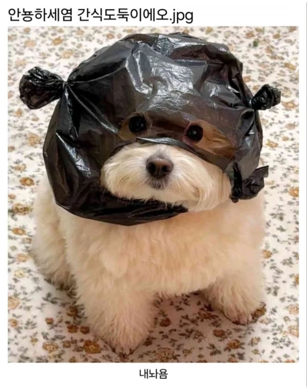 f6ba4bb4b5359d5ad65c93f0924a301f_1742779377_5194.png