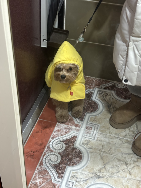 fc22988c8823d9765c78e3050126664e_1743253582_7194.jpeg