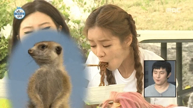 7e85cf24913470ada58a81651f4e4e5c..gif