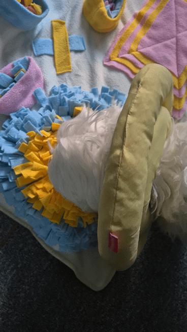 cce827610e2250ad59d31dffde0e91b8_1745919282_8354.gif