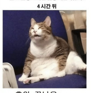 20250413021721_ZflWfemJQ3.jpeg