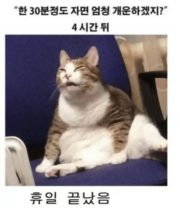 20250413021721_ZflWfemJQ3.jpeg