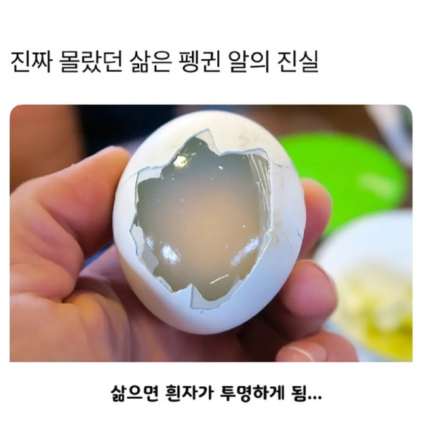 02.png