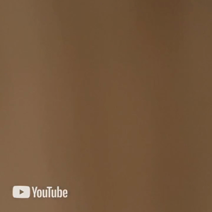 펫플루언서 이미지