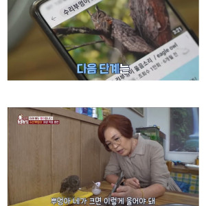아기인 척 모르는 아주머니를 속여 음식과 집을 갈취한 | 인스티즈