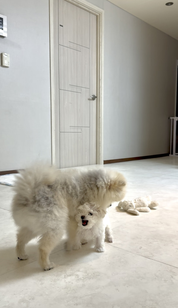 0821a3571f8fcb969080ab2ad3162c86_1744107979_5676.jpeg