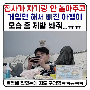 동영상 썸네일
