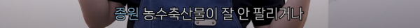 백종원 이건 좀 아니다 싶다 생각한 밀키트 | 인스티즈