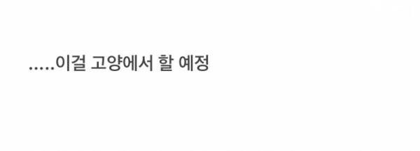 🚨잠실주경기장 공사로 가장 난리 난 곳🚨 | 인스티즈