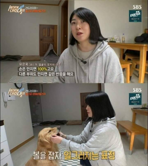 리트리버가 이렇게 화내는 거 첨봄 | 인스티즈