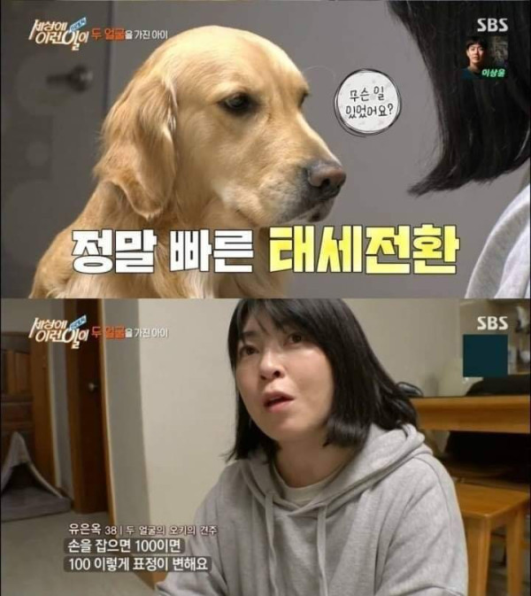 리트리버가 이렇게 화내는 거 첨봄 | 인스티즈