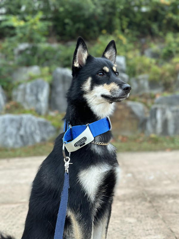 096163140e26df3923703ed7805c026a_1743920849_1725.jpeg