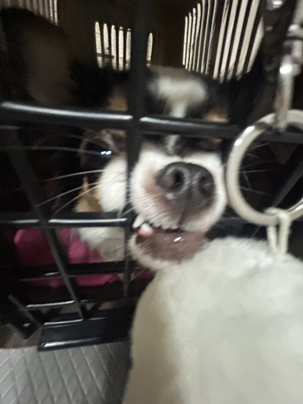 0e10111bcbeefbc39691e75516b5c699_1744436299_1897.jpeg