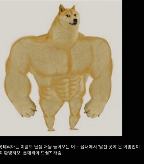 d70a4e8f00eaa26341ea20a0429d24a5..png