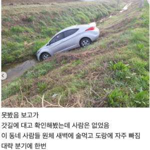 너네 아반떼가 물 마시는거 본 적 있음??