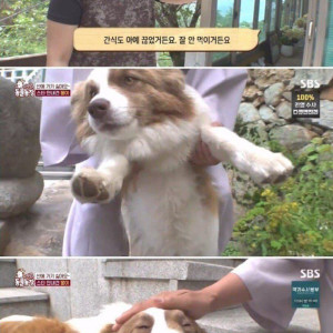 전문가에게 욕먹은 동물농장 제작진
