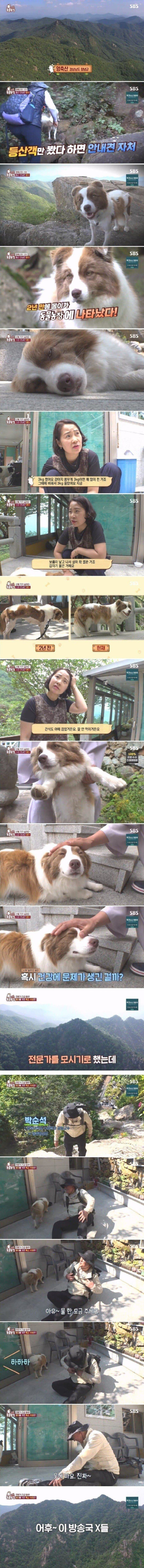 전문가에게 욕먹은 동물농장 제작진