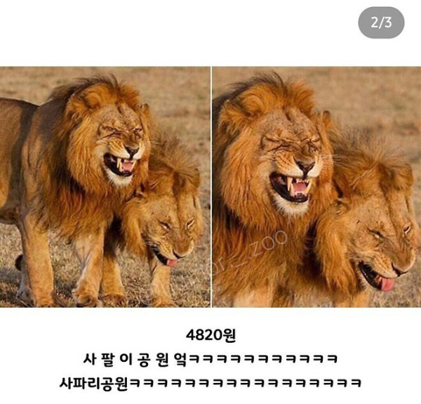 동물원 입장료가 얼마게?