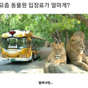 동물원 입장료가 얼마게?