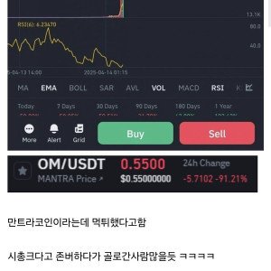 IMG_7689.jpeg 오늘자 시총 10조 코인 먹튀 발생