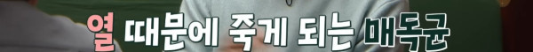 매독 걸린 사람에게 말라리아를 감염 시켜 노벨방 받은 이야기