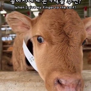 동영상 썸네일