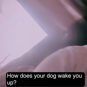 동영상 썸네일