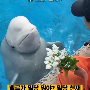 동영상 썸네일