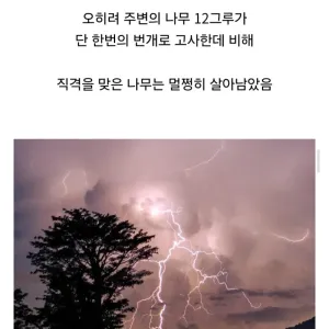 122525_54128659a96863e674174f7460123ffd.webp