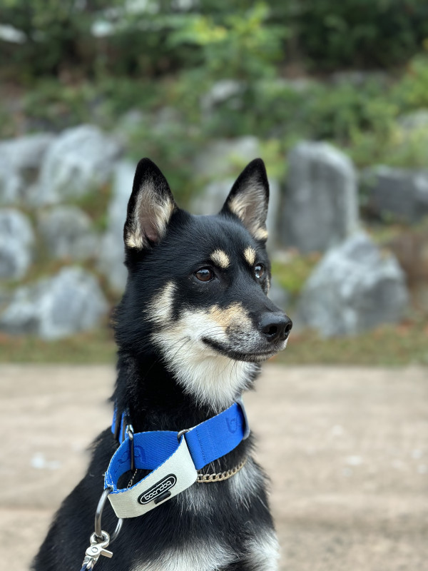 12e361977c2326d5f3e63563ba0f7274_1743920847_2598.jpeg