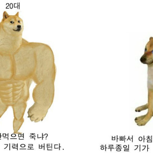 20250426102950_fZ4LF4ZMkj.jpg