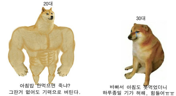 20250426102950_fZ4LF4ZMkj.jpg