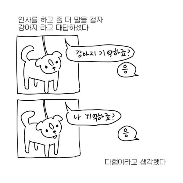 17.png