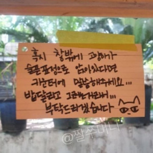 5 닝겐 사용법을 깨달은 고냥님.jpg