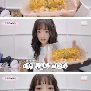 여자 아이돌이 컴백 때 먹는 식단.jpg