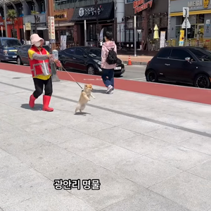 동영상 썸네일