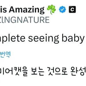 아기 미어캣인데 이거 한번 봐주라요
