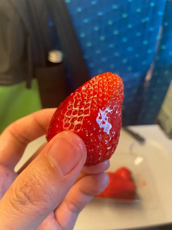 일본 기차에서 음식 좀 먹었는데 민폐일까?