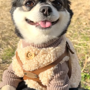스크린샷 2025-04-18 103234.png